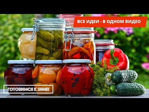 Лето в банке: ВСЕ ЗАГОТОВКИ на зиму — В ОДНОМ ВИДЕО! Лучшие ИДЕИ ДЛЯ ВАС!