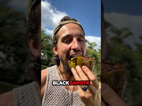Chocolate Pudding Fruit ๐ #explore #sapote #farming