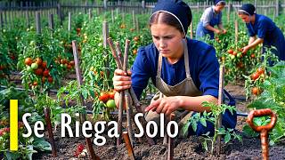 El Método Amish Del Jardín Que Se Riega Solo Durante Años