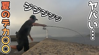 急に何が起きた?釣れて釣れて…デカい…
