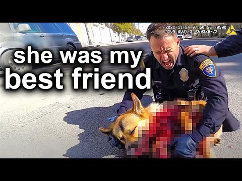 When Cops Lose Police Dogs