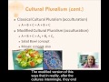 Cultural Pluralism and Assimilation Concepts