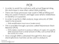 DNA Analysis and Profiling Concepts