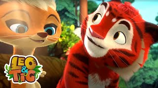 Uma pequena proeza  | Leo & Tig | Desenhos infantil 🐯🦁