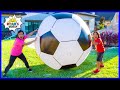 Force and Motion Concepts