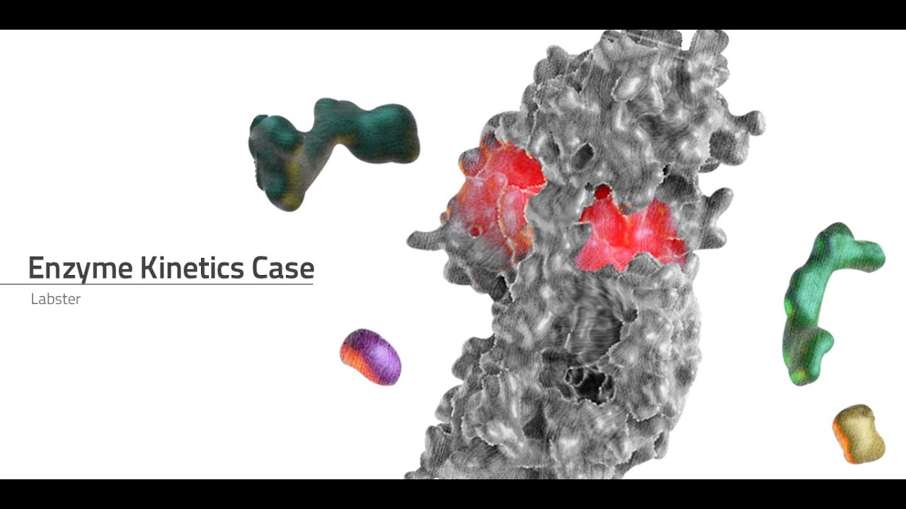 Enzyme Virtual Lab: Exploring the Fascinating World of Enzymes