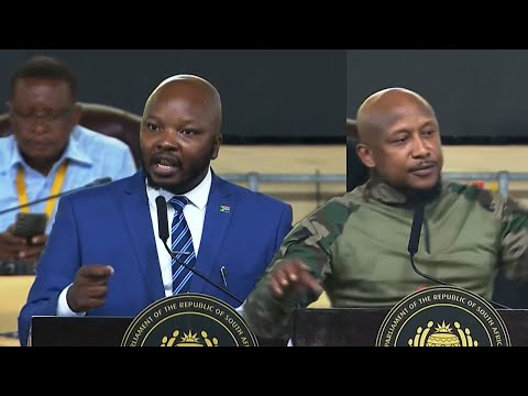 DA Nodada vs MKP “The Less Said About Honorable Ndhlela Dressed Like A Toy Solider In Fake Military”