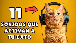 ¿Cuál de estos 11 sonidos hará que tu gato se vuelva loco?