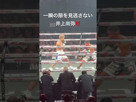 井上尚弥 一瞬の隙も見逃さない‼️