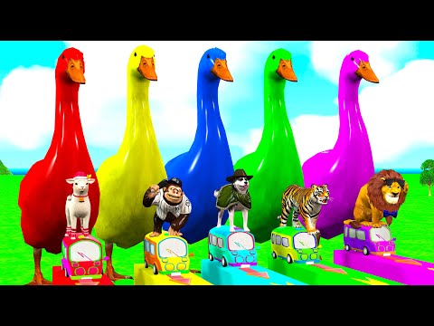 Long Slide Game With Cow Elephant Gorilla Hippopotamus Tiger - 3d Animal Game - Funny 3d Animals