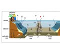 Ocean Floor Features and Technology