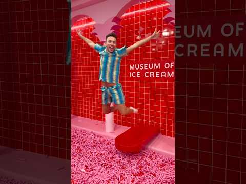 Une Expérience unique à Miami 😍✨