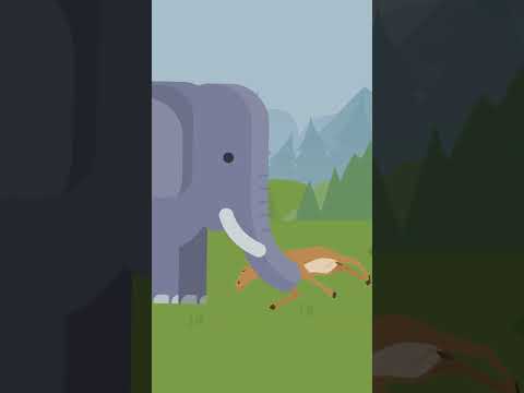 Gajju | One Minute Story | Cartoons | #cartoonanimal