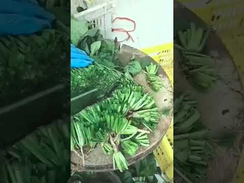 #agricultural #agriculture #farming #agro #farmlife #agricoltura  #technology #farm #food #diy