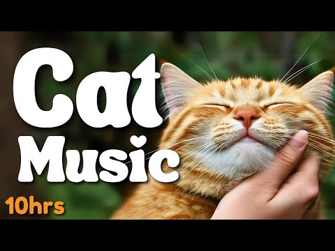 10 HOURS of Soothing Songs for Sleepy Cats - EXTRA-CALMING 🐈✨