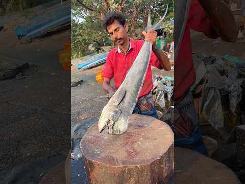 Amazing Mahi Mahi Fish Cutting #vibe #fishcutting #youtubeshorts