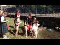Cohesion and Adhesion in Water
