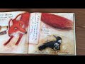 Magpie's Journey and Relationships