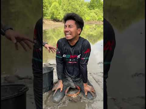 ปูหนีบไข่