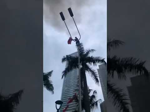 Aksi Seorang Cewek Kibarkan Bendera Di Tiang Lampu jalan ( Viral )