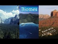 Ecosystem Interactions and Biomes