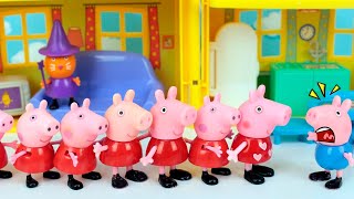 Peppa Pig George e AS IRMÃS PEPPA PIG | Peppa Pig Português Brasil Episódios Completos