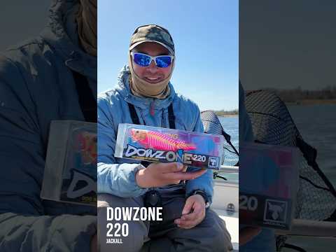 Приманка стоит почти 100 евро! Jackall Dowzone 220 #jackall #dowzone #wobler #приманка #воблер