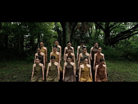 Beautiful Chorus - The Jungle (Official Video)