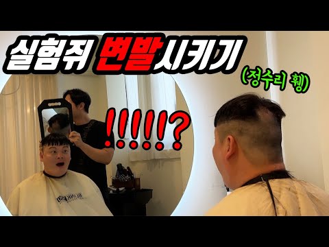 최충호 뒷머리 대머리 변발 만들어주기