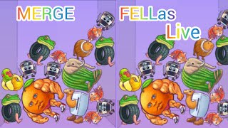 Merge Fellas Live Stream