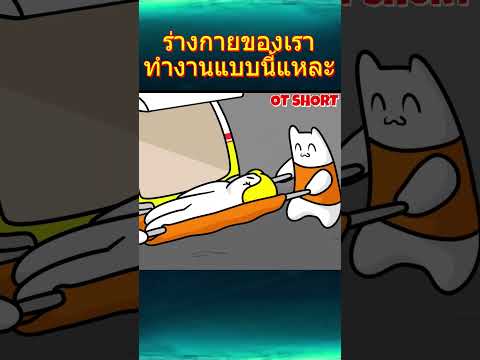 ร่างกายของเราทำงานแบบนี้แหละ #สมองสั่งการ #เตะหิน #เดินไม่มองทาง #การ์ตูน #การ์ตูนสั้น #animation