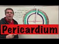 Heart Structure and Function Concepts