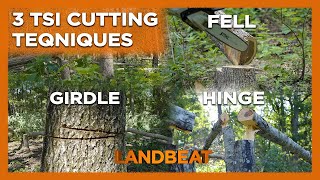 3 Easy Chainsaw Cuts for Timber Stand Improvement!