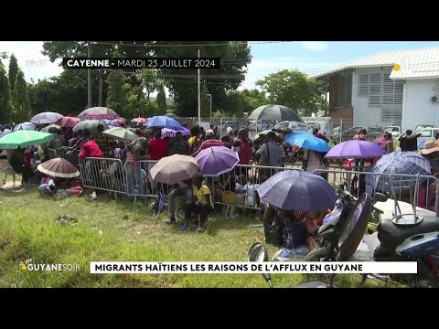 Immigration haïtienne : les raisons de l'afflux en Guyane