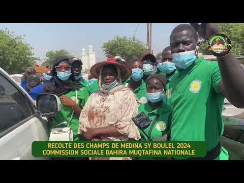 Récolte des champs de Médina Sy Bouléle 2024 avec les disciples de S.Moustapha Sy Al Amine