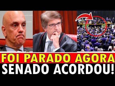 URGENTE! SENADO ACORDOU! IMPEACHMENT! BOLSONARO COMEMORA