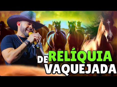 RELÍQUIA DAS VAQUEJADAS TOP 2 - Arreio de Ouro & Amado Edilson - O MELHOR DAS VAQUEJADAS