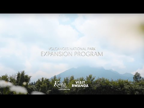 How Rwanda is Expanding its Volcanoes National Park and Mountain Gorillas Habitat