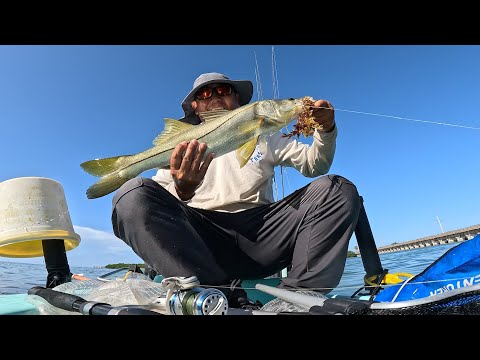 In the Florida Keys...Live Bait Matters - Catching Them All.