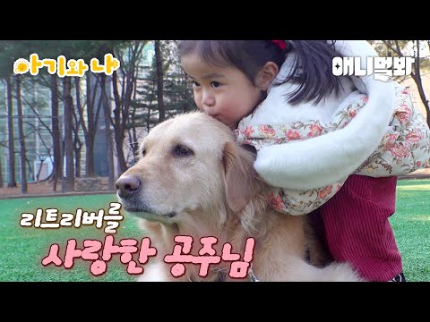 엽기적인 아기 공주님의 못 말리는 리트리버 사랑(아부지 화이팅ㅋㅋㅋ)ㅣFunny Baby Princess and her unstoppable love for Retriever