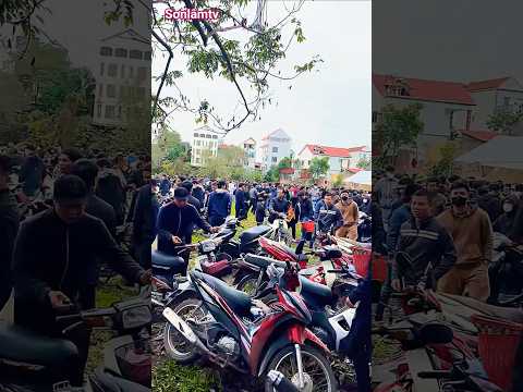 “Lễ hội gà náo loạn vì sự cố khó tin”