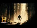 Sasquatch Sounds and Sightings