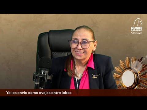 Evangelio del viernes 11 de julio 2025 - Yo los envío como ovejas entre lobos
