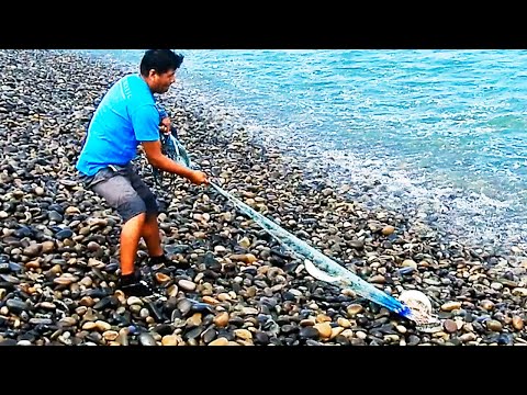 Cómo LANZAR tu ATARRAYA Detrás de la OLA y asegurar una PESCA Impresionante