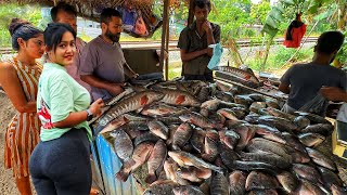 Why Are People Lining Up Here 😲?? Hidden Gem Village Town Fish Stall That Locals Swear By