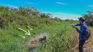 Seperti Mustahil Namun Faktanya Banyak Ikan Besar Yang Bisa dipancing lokasi Semak Begini !!!