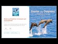 Sharks vs Dolphins: Key Differences and Similarities