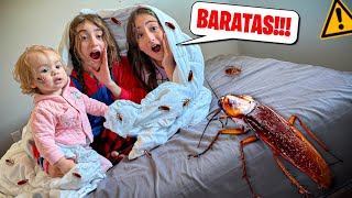 BARATAS no QUARTO do HOTEL na VIAGEM pra ACHAR a CHAVE do BAÚ ESTRANHO! *Deu ruim! Pai Também Vloga