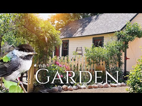 A Summer Garden Tour Around Our Victorian Home - Gardening Vlog