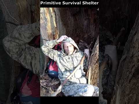 Survival Danger Response 🏕 Primitive Survival Shelter. Bushcraft camp #bushcraft #survival #shelter